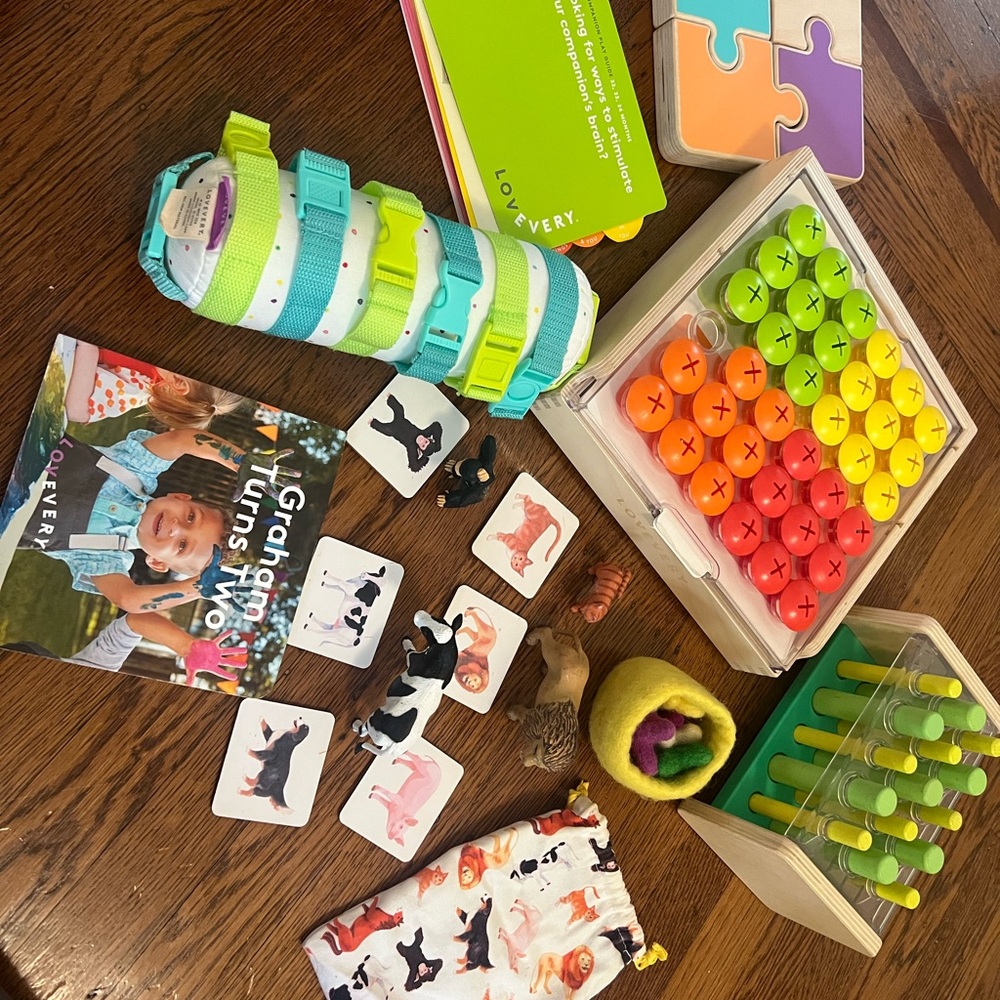 Lovevery The Companion Play Kit- incomplete. For months 22 23 24